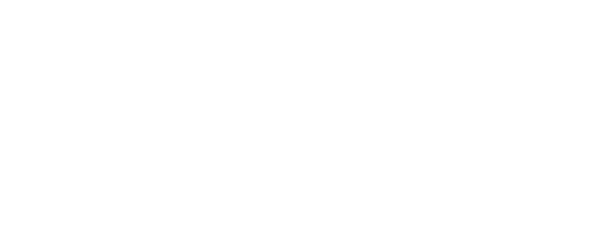 The Linguist Academy